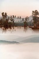 Java mystique (vu chez vtwonen)