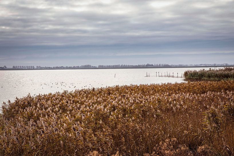 IJsselmeer von Rob Boon