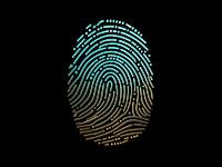 Futuristisches biometrisches Identitätsdesign - Neonblaue und goldene Farbverlaufsgrafik für Fingerabdrücke