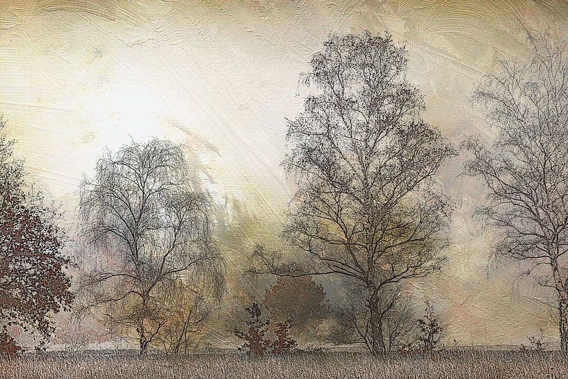 Herbst von Ingrid Van Damme fotografie