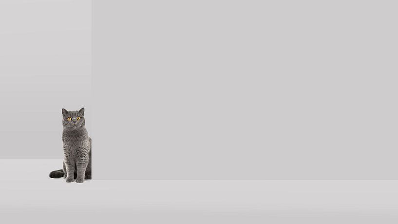 Um die Ecke grau von Elles Rijsdijk