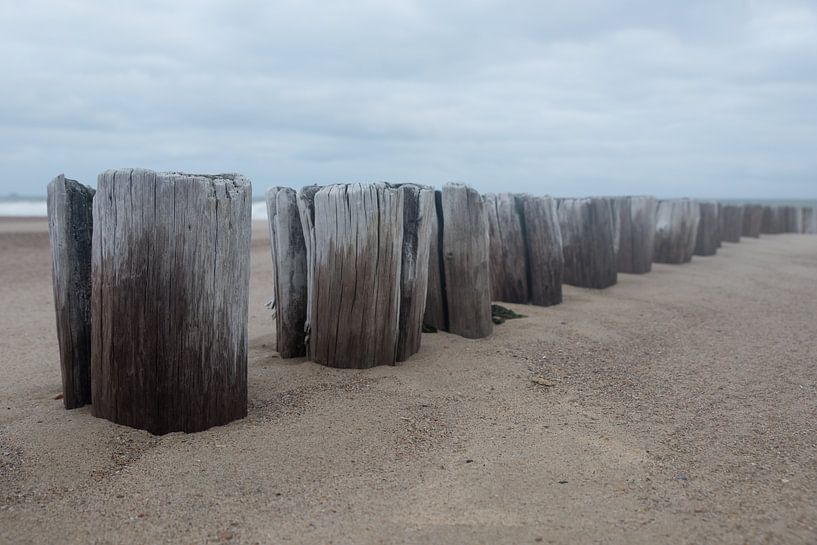 Wellenbrecher am Strand von Cadzand, Zeeland von Marjolijn van den Berg