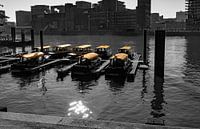 Wassertaxi einfarbig