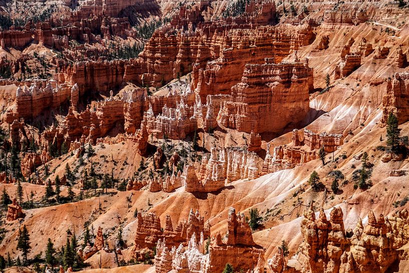 Bryce Canyon Utah par Tineke Visscher
