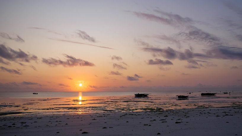 Sonnenaufgang auf Sansibar. von Willeke van Vulpen