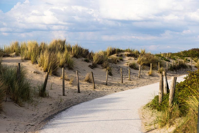 Dünenpfad von Piet Hein Schuijff