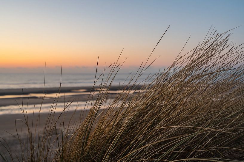 Dünengras von Rik Verslype