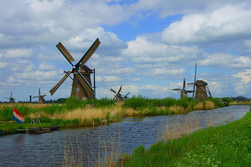Molens in Kinderdijk von Michel van Kooten