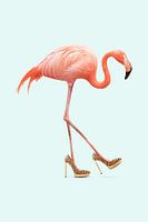 Fancy Flamingo