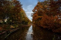 L'automne à Westerwolde