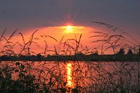 Sonnenuntergang auf dem Lek!