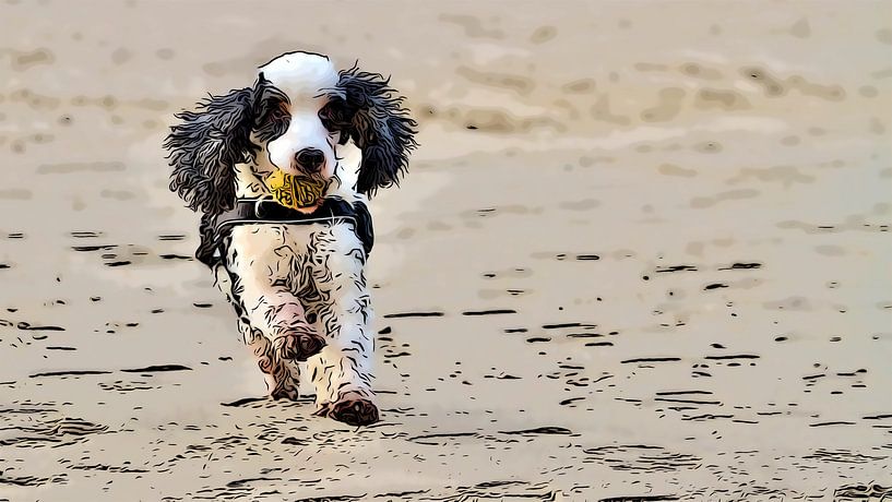 Cockerspaniel am Strand von Eric de Haan