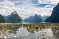 Milford Sound in Nieuw-Zeeland