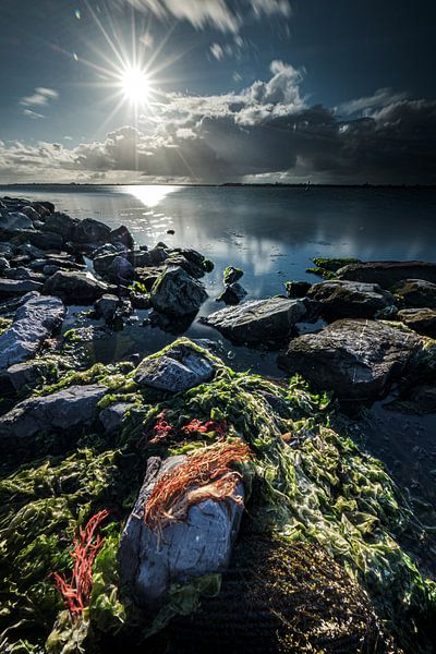 Brouwersdam par Eddy Westdijk