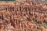 Parc national de Bryce, Utah. Hoodoos.