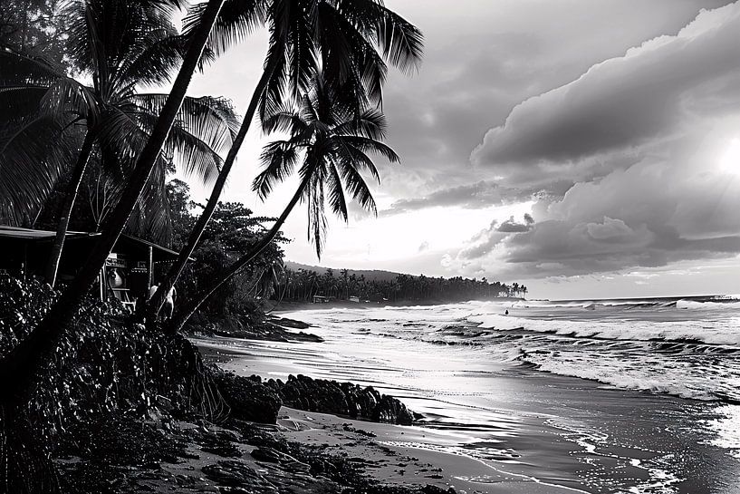 Schwarz-weißer Strand mit Palmen von Art & Soul Creations