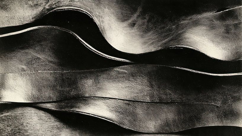 Abstraktes Leder von Franka Poulain