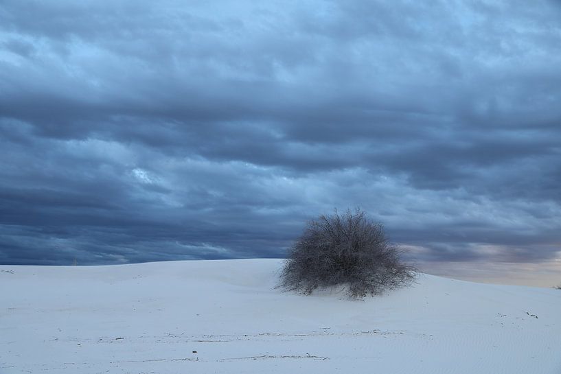 White Sands Dunes National Monument au Nouveau-Mexique USA par Frank Fichtmüller