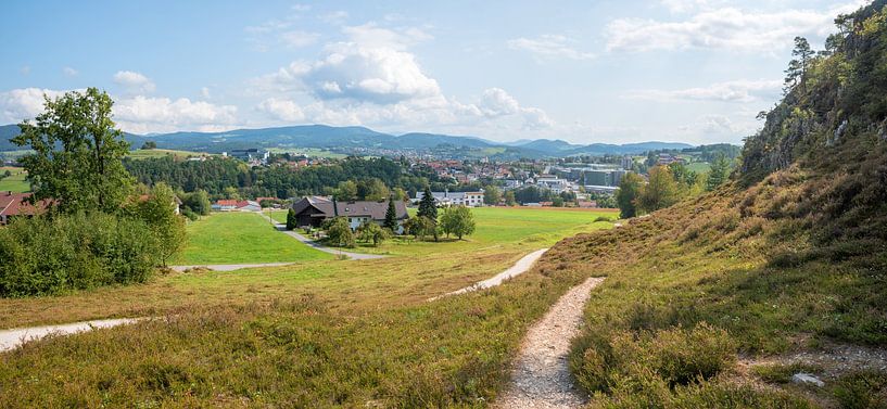 Wanderweg am Großen Pfahl Viechtach von SusaZoom