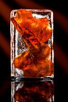 frozen autumn leaves