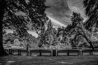 Breda - Park Valkenberg - Zwart Wit