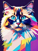 Ragdoll Katze Pop Art