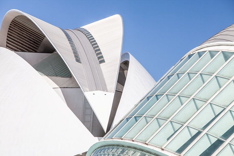 science museum in Valencia by Eric van Nieuwland