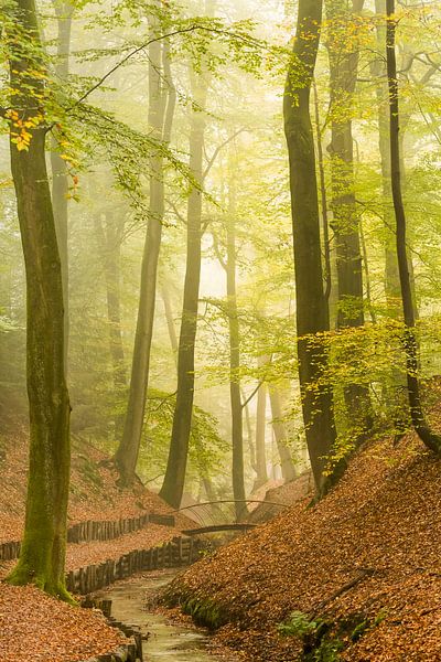 Matin brumeux Veluwezoom par Danny Slijfer Natuurfotografie