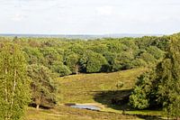 Frühling im Veluwezoom