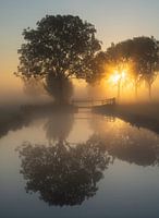 Nebliger Sonnenaufgang