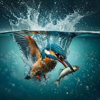 Successful kingfisher
