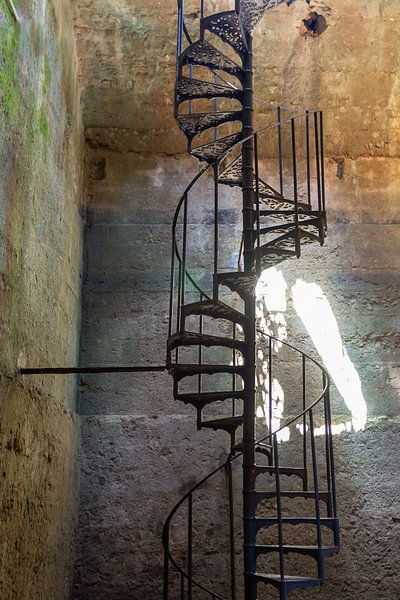 Spiral by Jaco Verheul