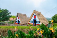 Die Palheiros in Santana, Madeira