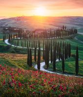 Coucher de soleil en Toscane