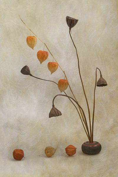 L O T U S . A N D . L A N T E R N S by Thomas Herzog