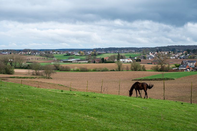 Collines vertes dans le Brabant flamand par Werner Lerooy