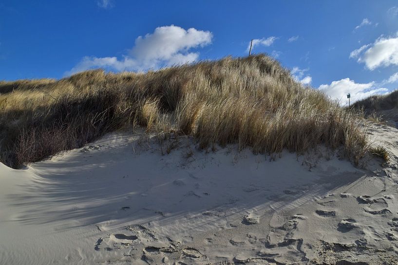 Dünen auf Langeoog in der Nordsee Ostfriesland von Karl-Heinz Petersitzke