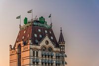 Maison Blanche à Rotterdam