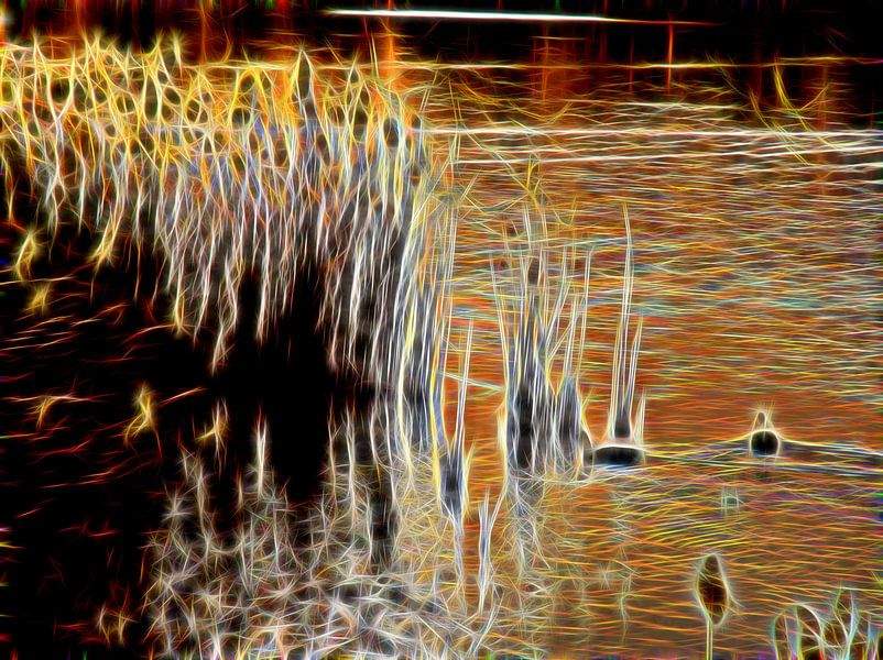 Neonsunset von Edgar Schermaul