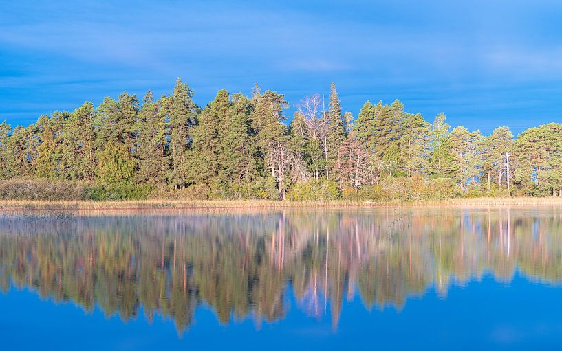 Autumn reflection by Jeroen Kleiberg