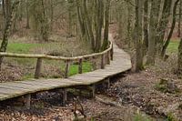 Loopbrug Springendal Tubbergen