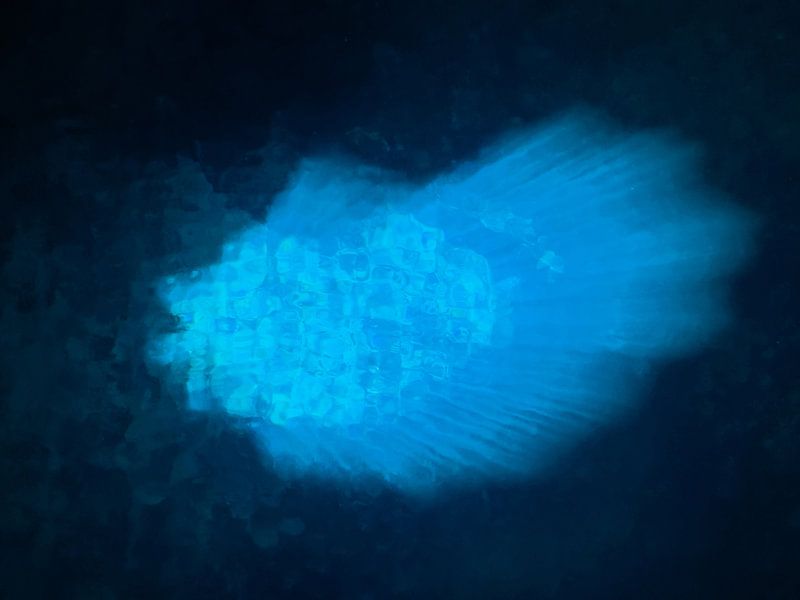 Blaues Auge von Bernardine de Laat