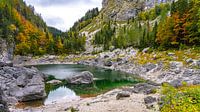 Black Lake in Triglav Nationaal Park, Slovenië
