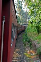 Train ride in Sri Lanka
