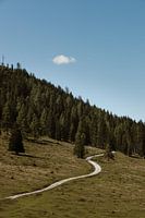 The mountains of Austria, Hermagor
