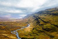 The natural elements