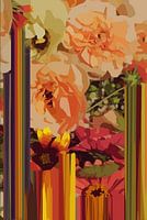 Aesthetics Retro Vibes