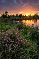 Dopheide opt Zwart Water