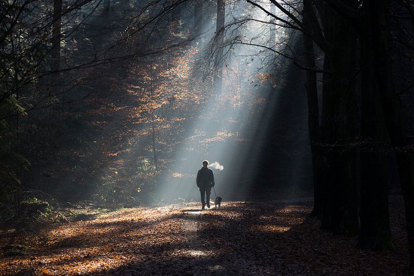 promenade hivernale par Bart Harmsen
