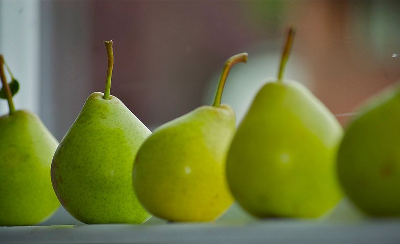 Peren by Peter Bosch